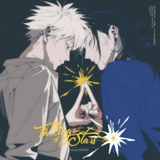 小恩《Falling Into The Stars》